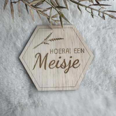 Houten bordje hoera een meisje