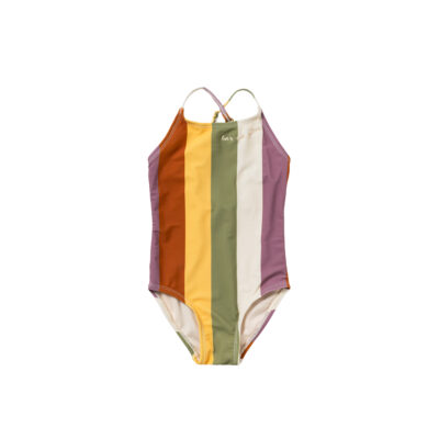 Salted Stories Multi Stripe Swimsuit